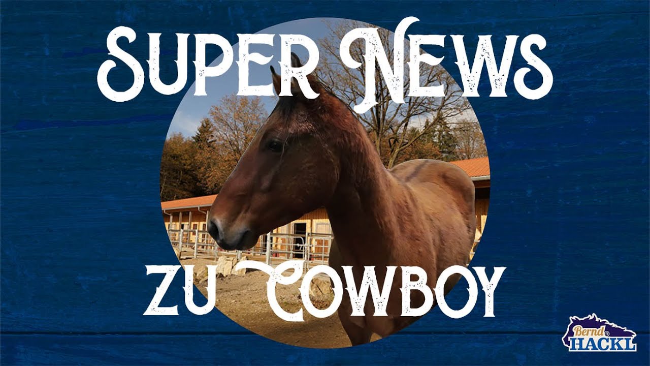 Super News zu Cowboy!