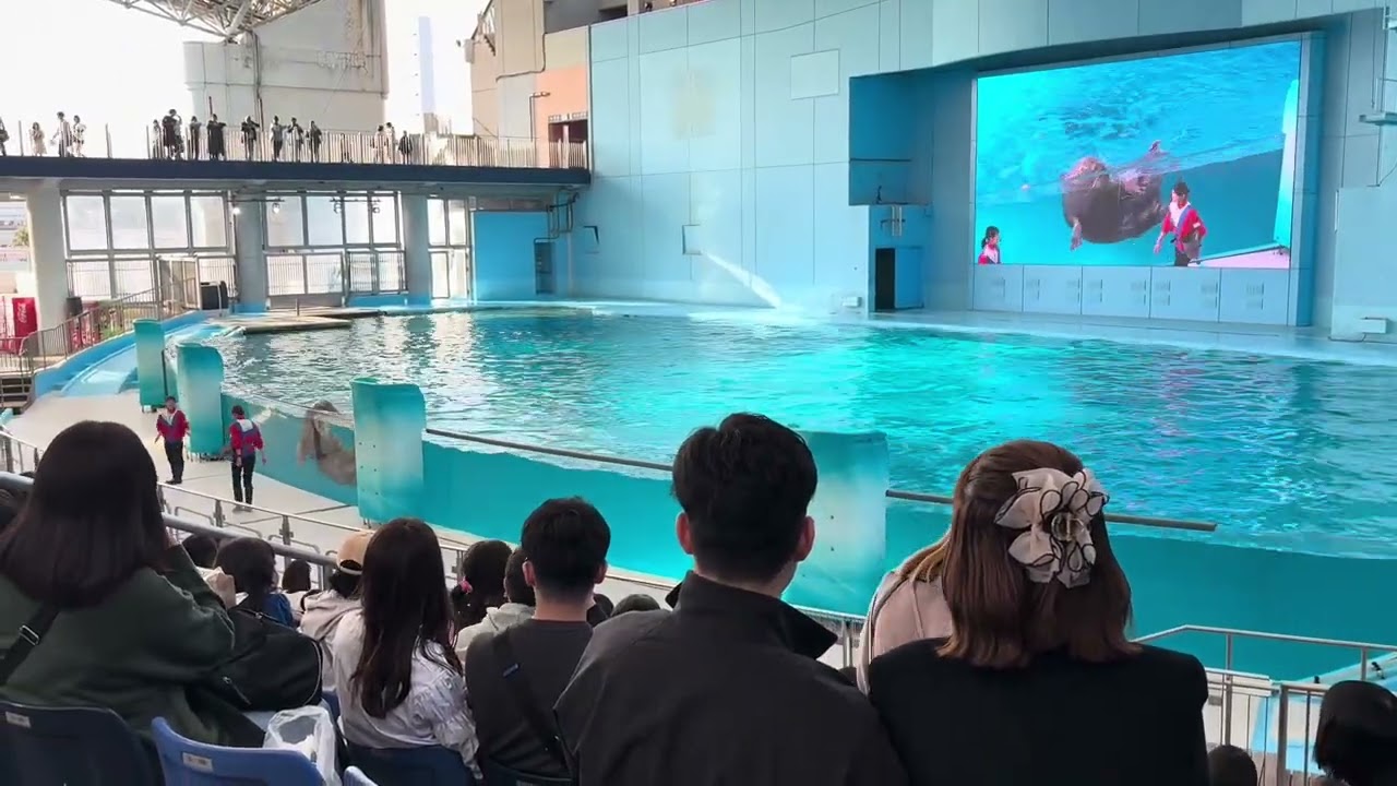神奈川旅行