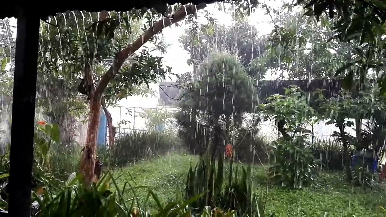 San Antonio Rain 