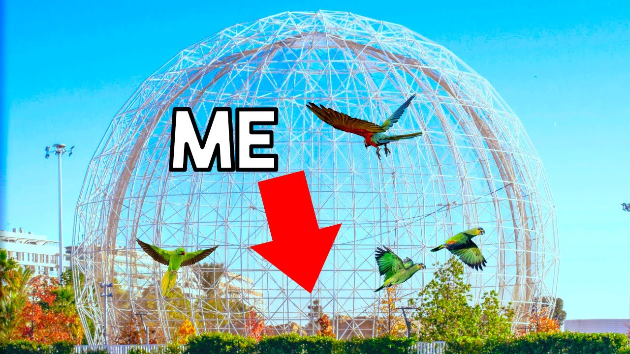 Inside the World's Most Exotic Bird Aviary