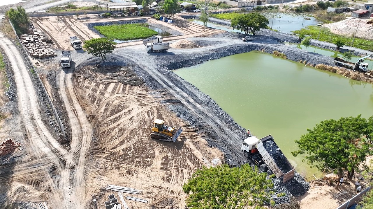 Project Connected!! The Best Dump Truck SHACMAN Unloading Stone With Bulldozer SHANTUI Push Stone
