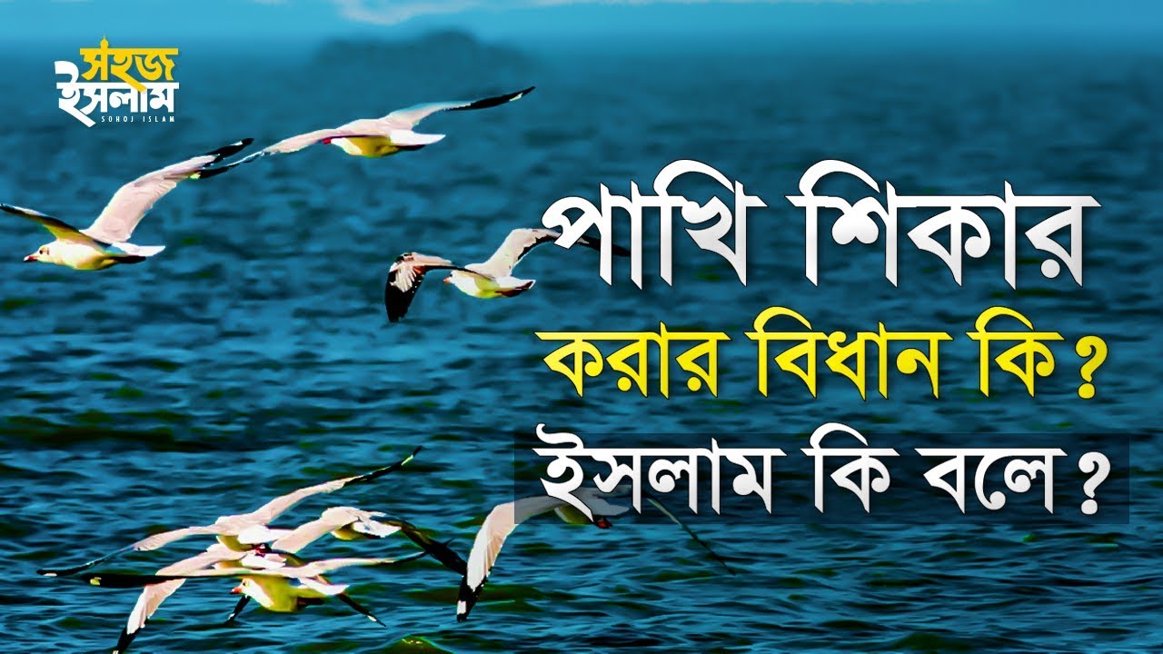 পাখি শিকার করার বিধান কি? | ইসলামে প্রাণীর অধিকার | Waliur Rahman Khan | Sohoj Islam