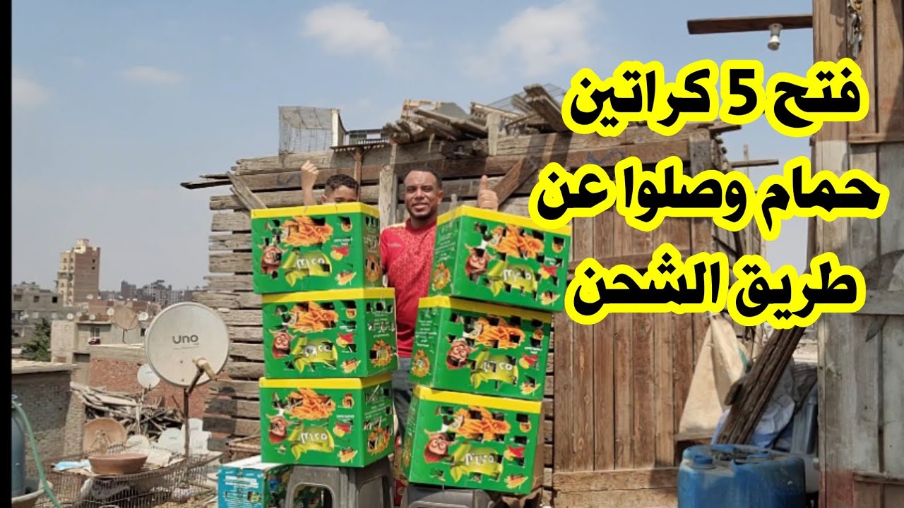 فتح 5 كراتين حمام وصلوا عن طريق الشحن أنواع كتير وأحجام عملاقه 📦📦