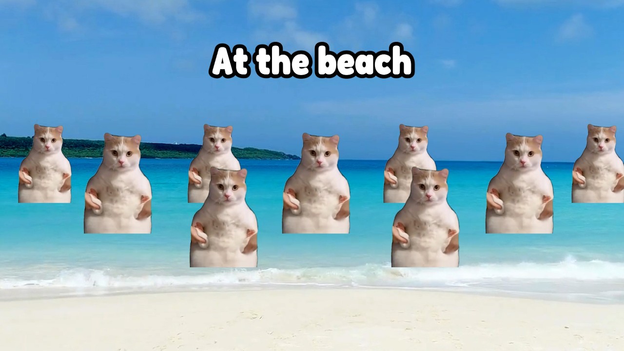 A Fun Beach Vacation! (Cat Memes)