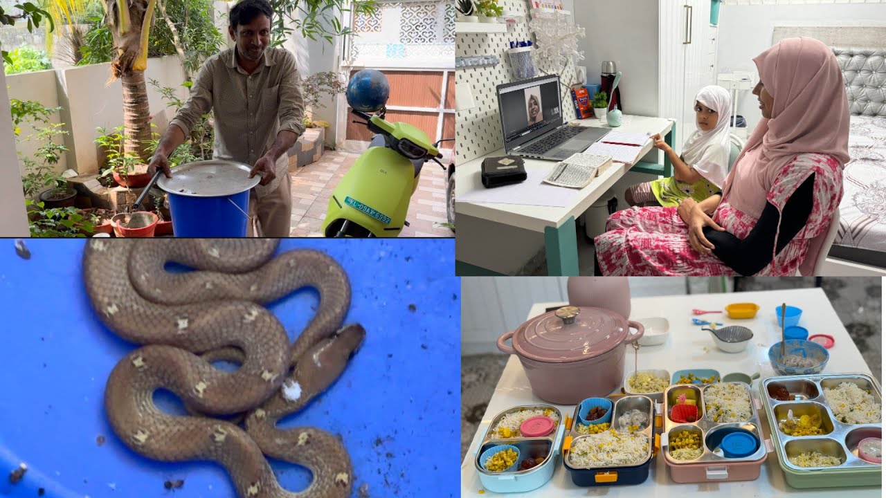 🙄ഭാഗ്യം കൊണ്ട് രക്ഷപെട്ടു 🥹കണ്ടോ ഇതിന്റെ ഉള്ളിൽ😱Morning routine /Lunch Preparation/Silutalks