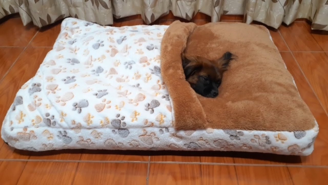 Camita con manta para mascotas