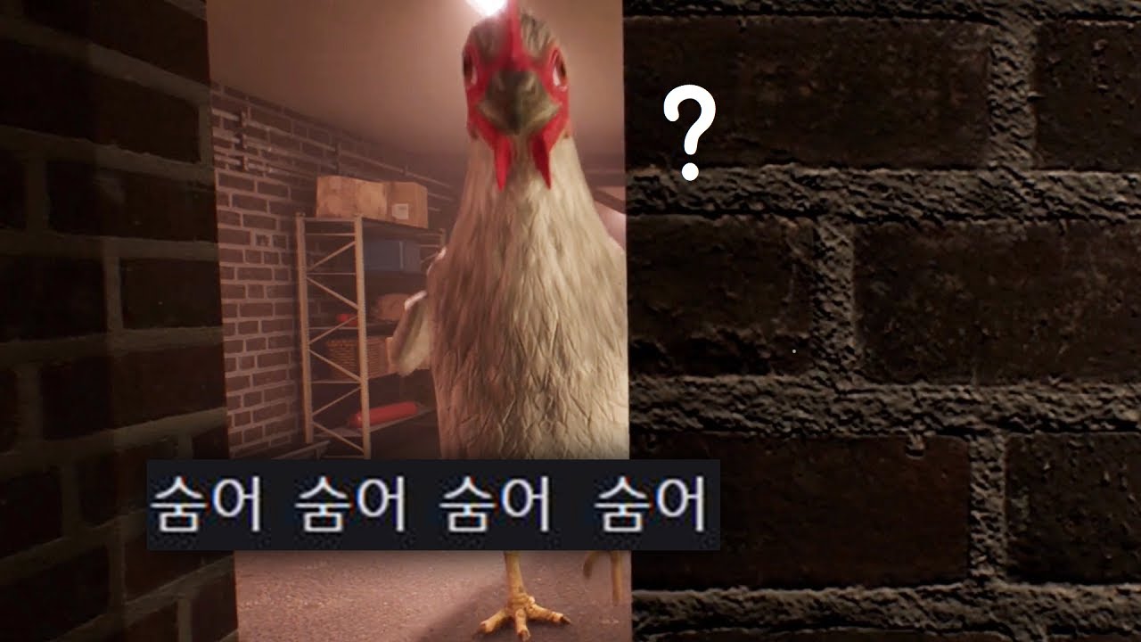닭이 커지면 이렇게 무서울줄 몰랐습니다..