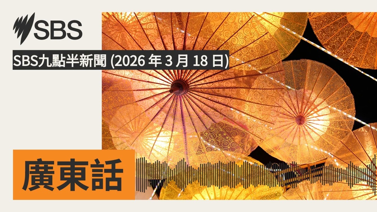 SBS九點半新聞 (2026 年 3 月 18 日) | SBS Cantonese - SBS廣東話節目