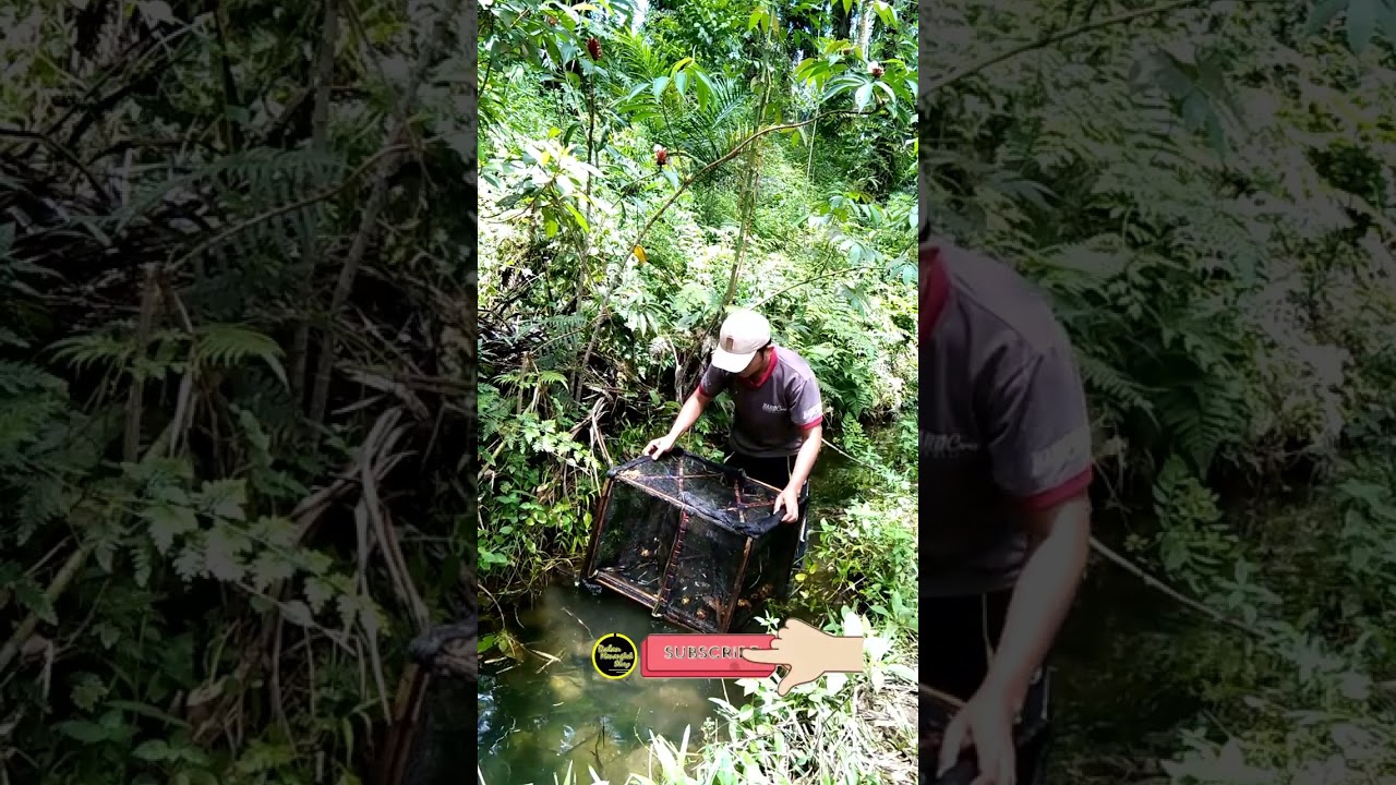 Lihat Bubu Dapat Ikan Ini ‼️😭 #DMS #reels