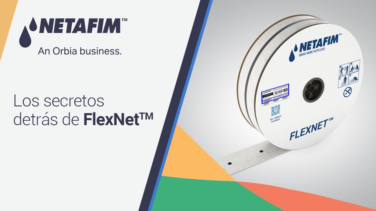 Los SECRETOS detrás de FlexNet™ ✅