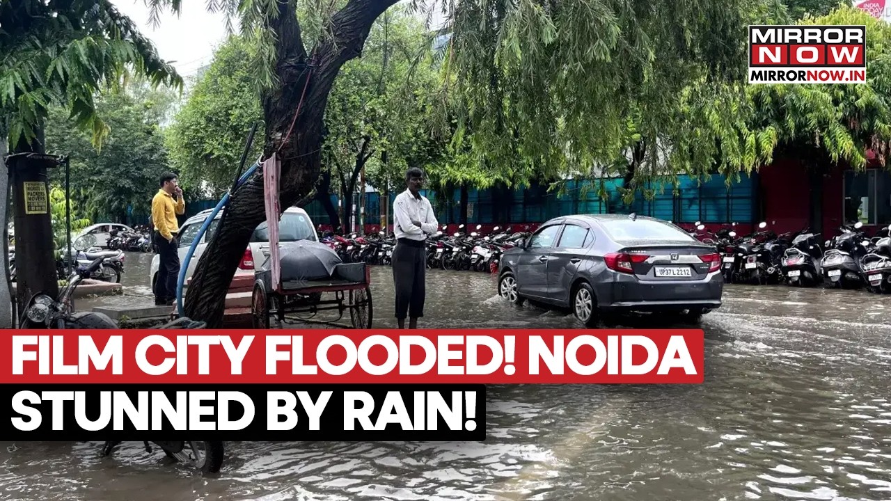 NOIDA IN CHAOS! Torrential Rain Uproots Trees, Smashes Cars & Floods Entire City | WATCH