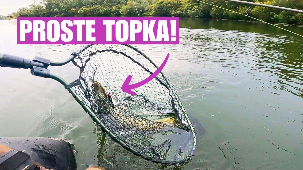 Lov Dravcov na Prívlač s Najlepšou Nástrahou!