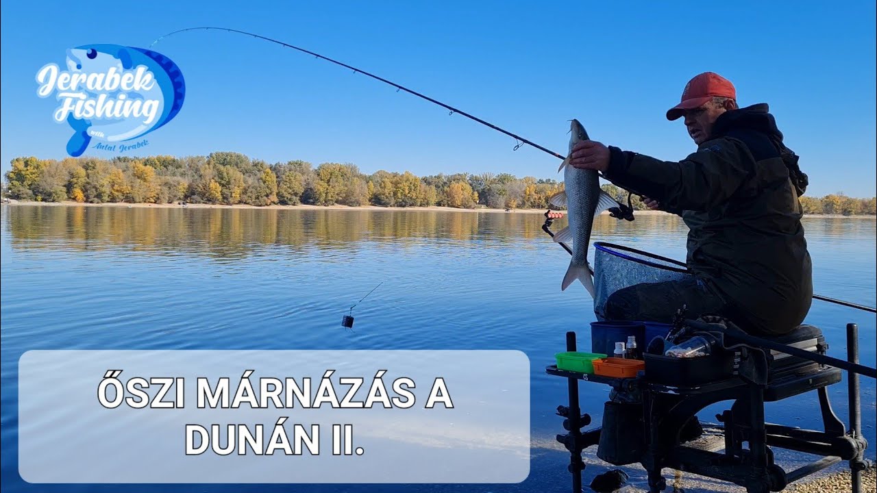 ŐSZI MÁRNÁZÁS A DUNÁN FEEDERBOTTAL!