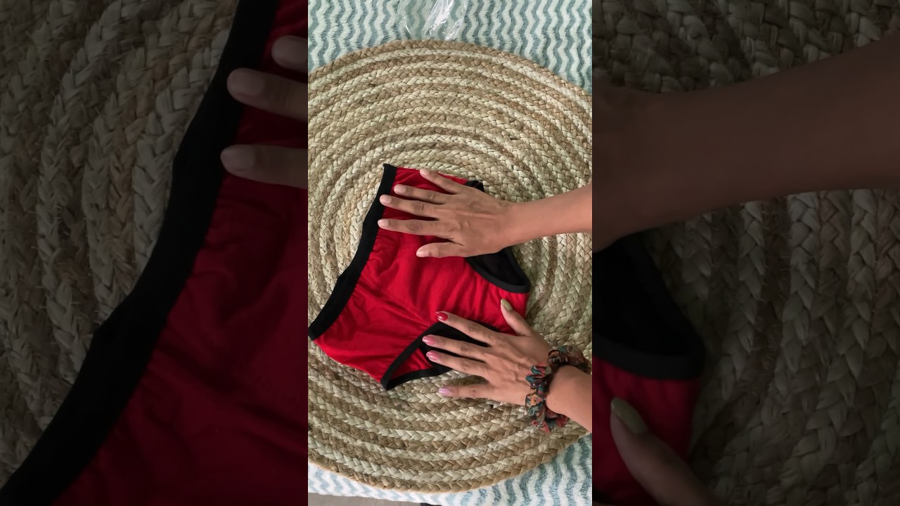 Period panty from meesho