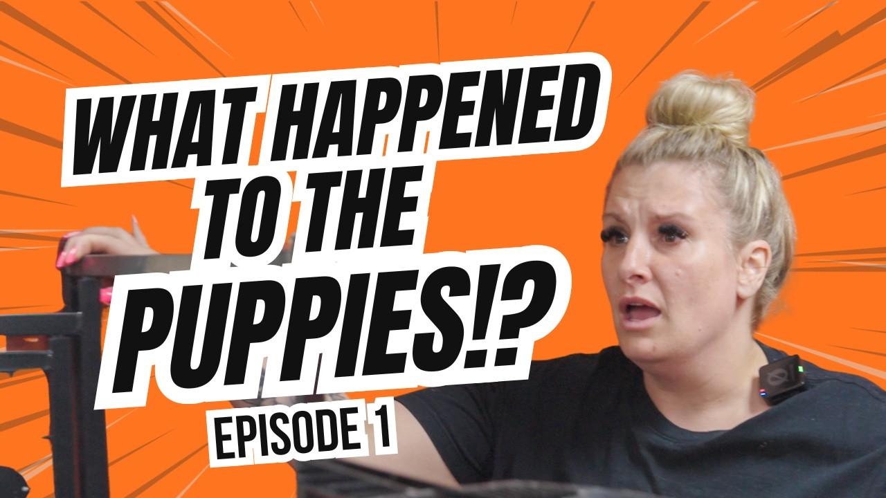 Redemption Dogs Episode 1