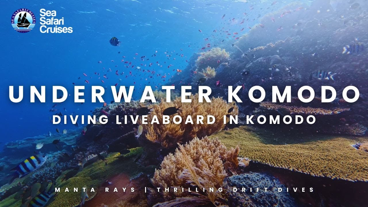 Scuba Diving Labuan Bajo | What It’s Like on a Liveaboard in Komodo