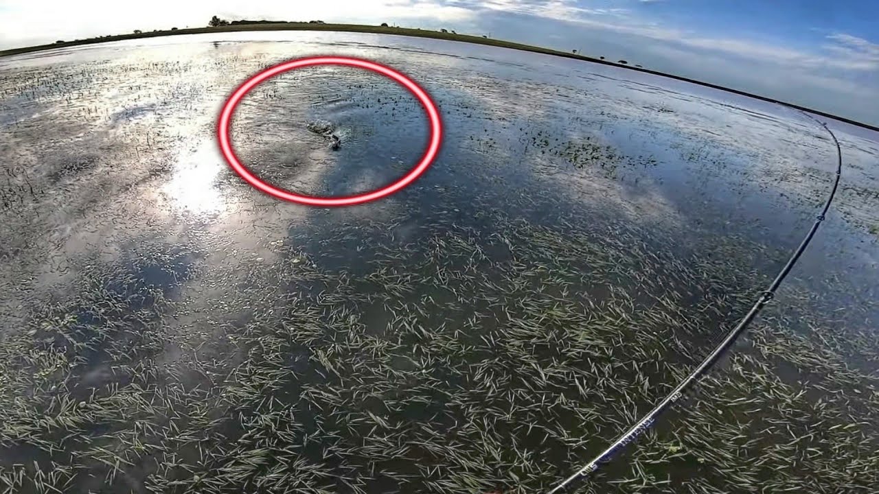 Pescaria de traira com frog - O QUE ACONTECE EM 10 MINUTOS DE PESCA?