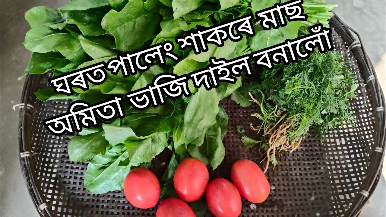 ঘৰত  পালেং শাকৰে মাছ ,অমিতা ভাজি দাইল বনালোঁ।