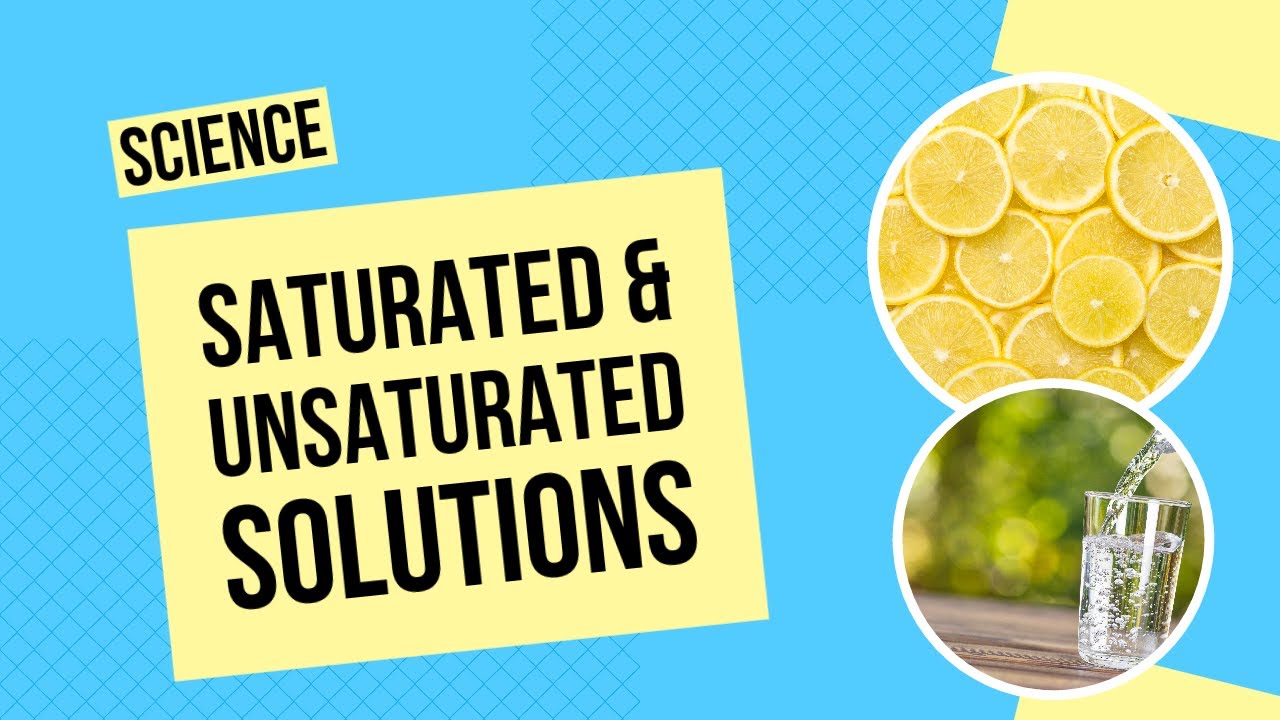 Saturated and Unsaturated Solutions | Science Lesson