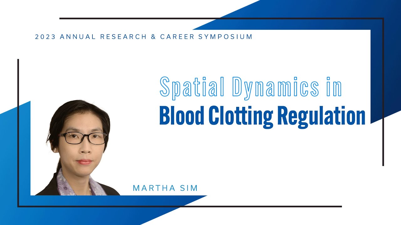 Martha Sim - 3MT Talk: Spatial Dynamics in Blood Clotting Regulation
