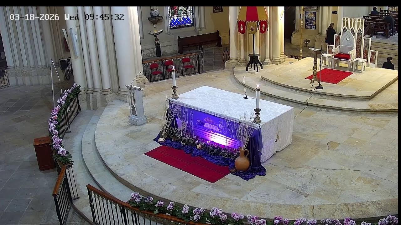 Transmisión Eucaristía Basílica de Lourdes   2026
