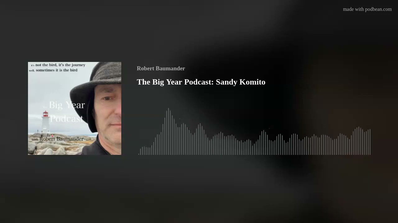 The Big Year Podcast: Sandy Komito