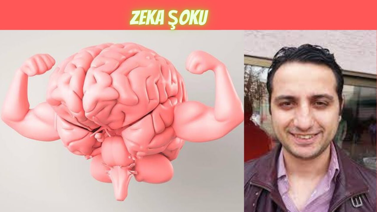Zeka Şoku, Nasıl Büyükusta Oldum?