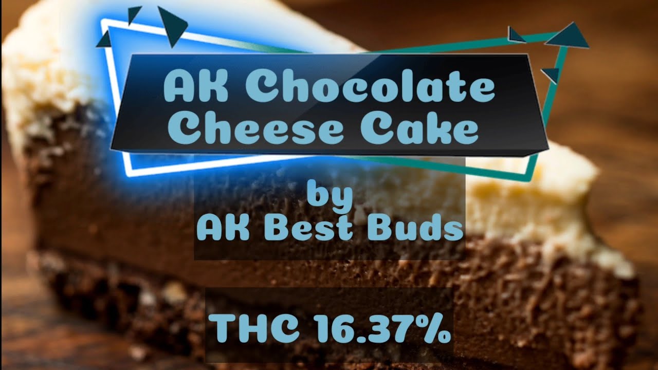 AK Chocolate Cheese Cake Strain Review
