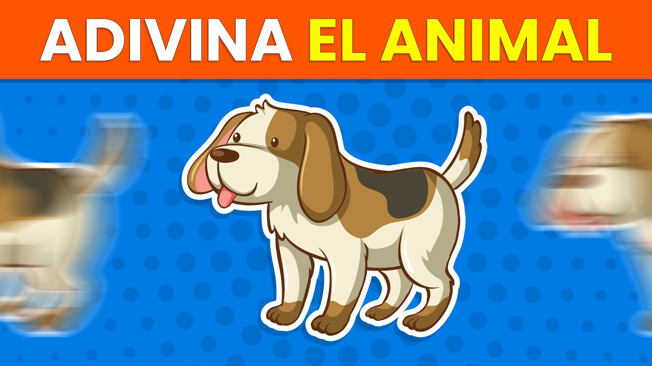 Adivina el ANIMAL en un PARPADEO 👀🐨🤔| Test de Agilidad Visual - Reto de Animales ✅