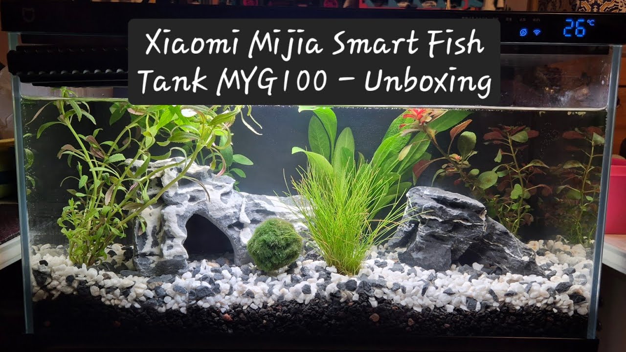 Aquarium Xiaomi Mijia Smart Fish Tank MYG100 Unboxing