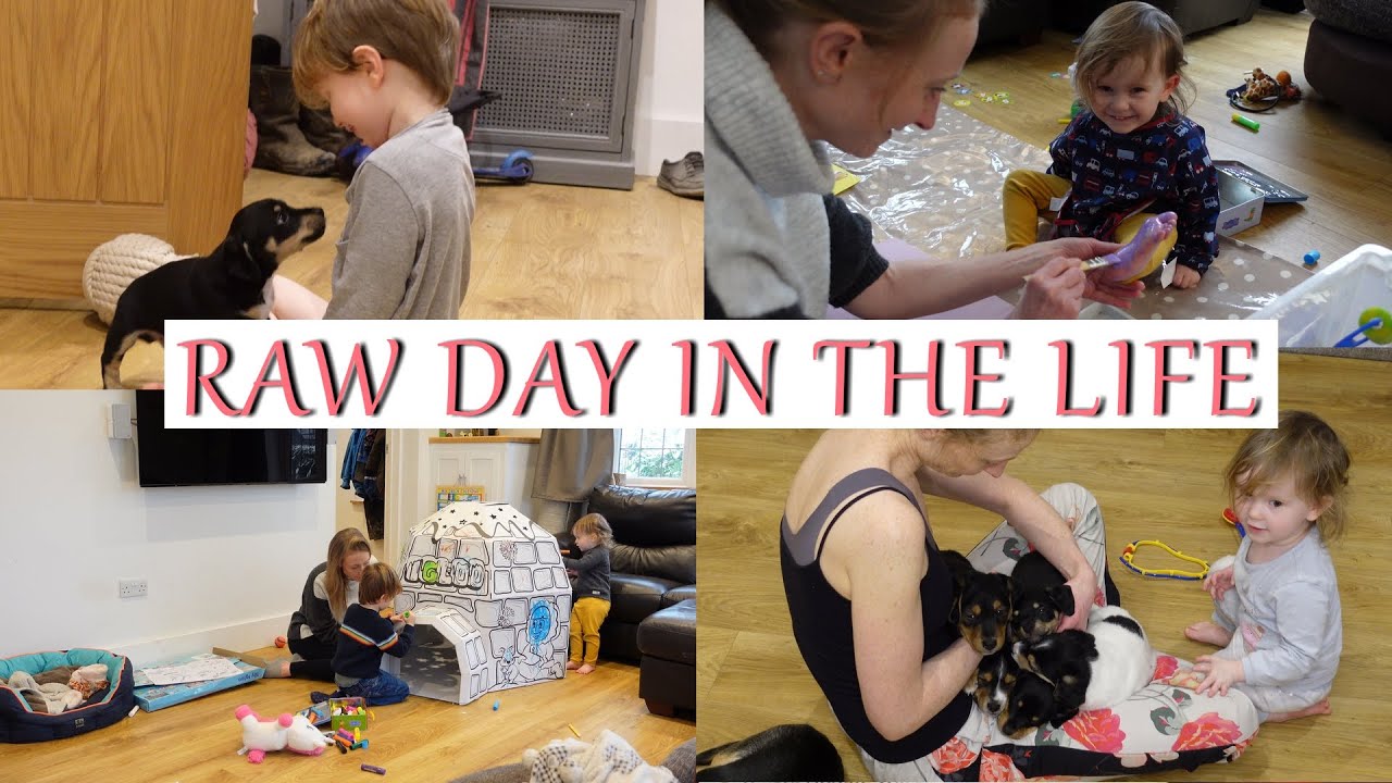 RAW DAY IN THE LIFE WITH PUPPIES & 2 KIDS IN LOCKDOWN 2021 : ENTERTAINING KIDS & BUILDING AN IGLOO