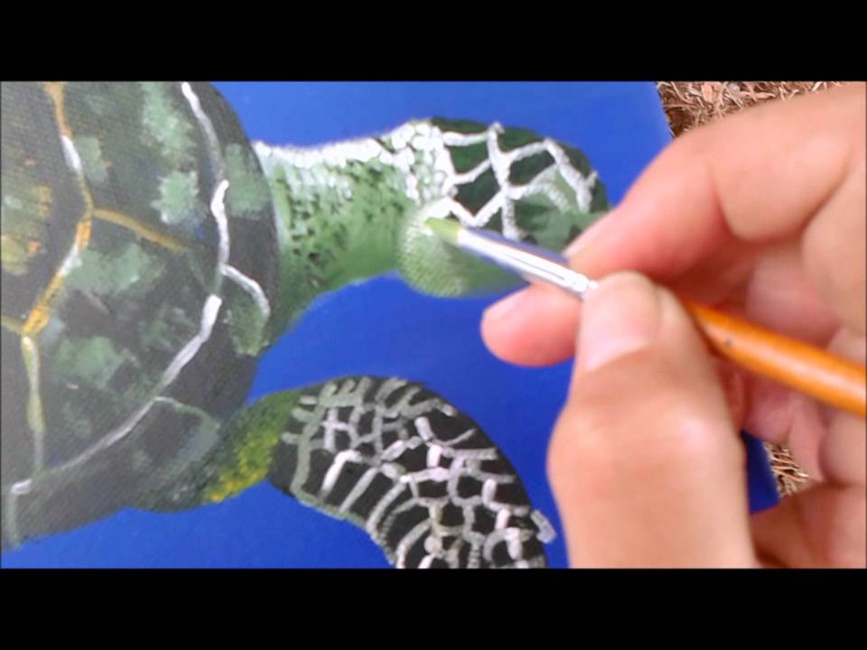Pintura a acrilica: Como pintar tartaruga marinha :: how to paint sea turtle