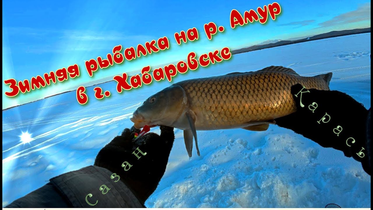 Зимняя рыбалка на р  Амур вблизи Хабаровска
