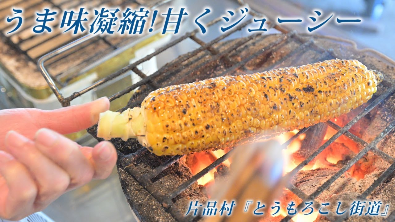 今がおいしい！「とうもろこし街道」に行楽客　群馬県片品村