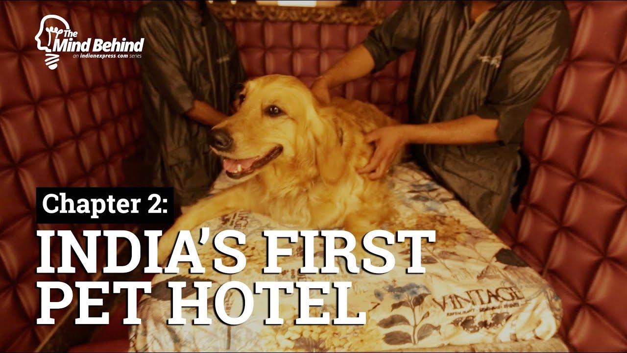 Inside India's First Pet Hotel | Luxury hotel for dogs
