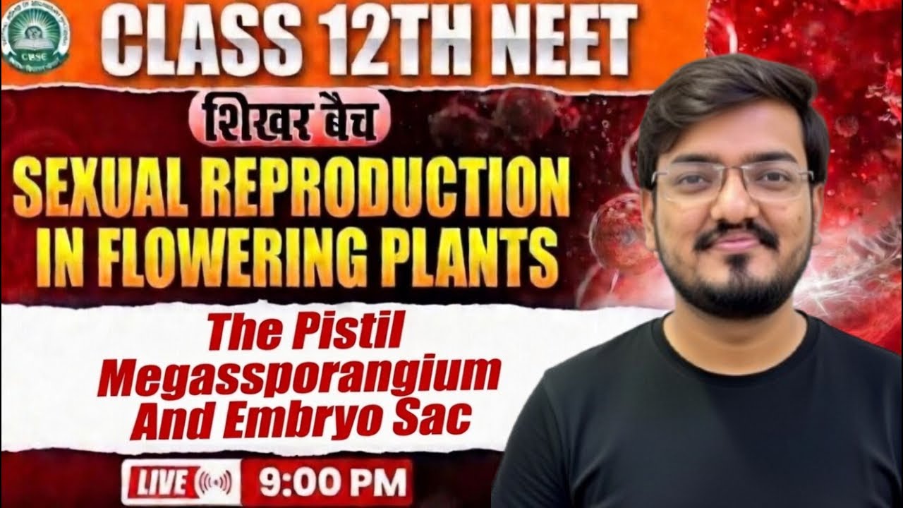 NEET & CBSE Class 12 Biology | Pistil, Megasporangium & Embryo Sac Explained