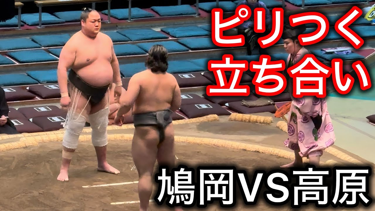 【三段目】観客騒然！？鳩岡vs高原 三月場所五日目
