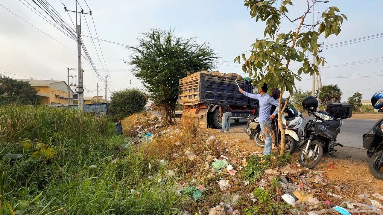 New Project Operation Using 6-Wheel Trucks and Dozer Kumatsu Clearing the grass and pushing the soil