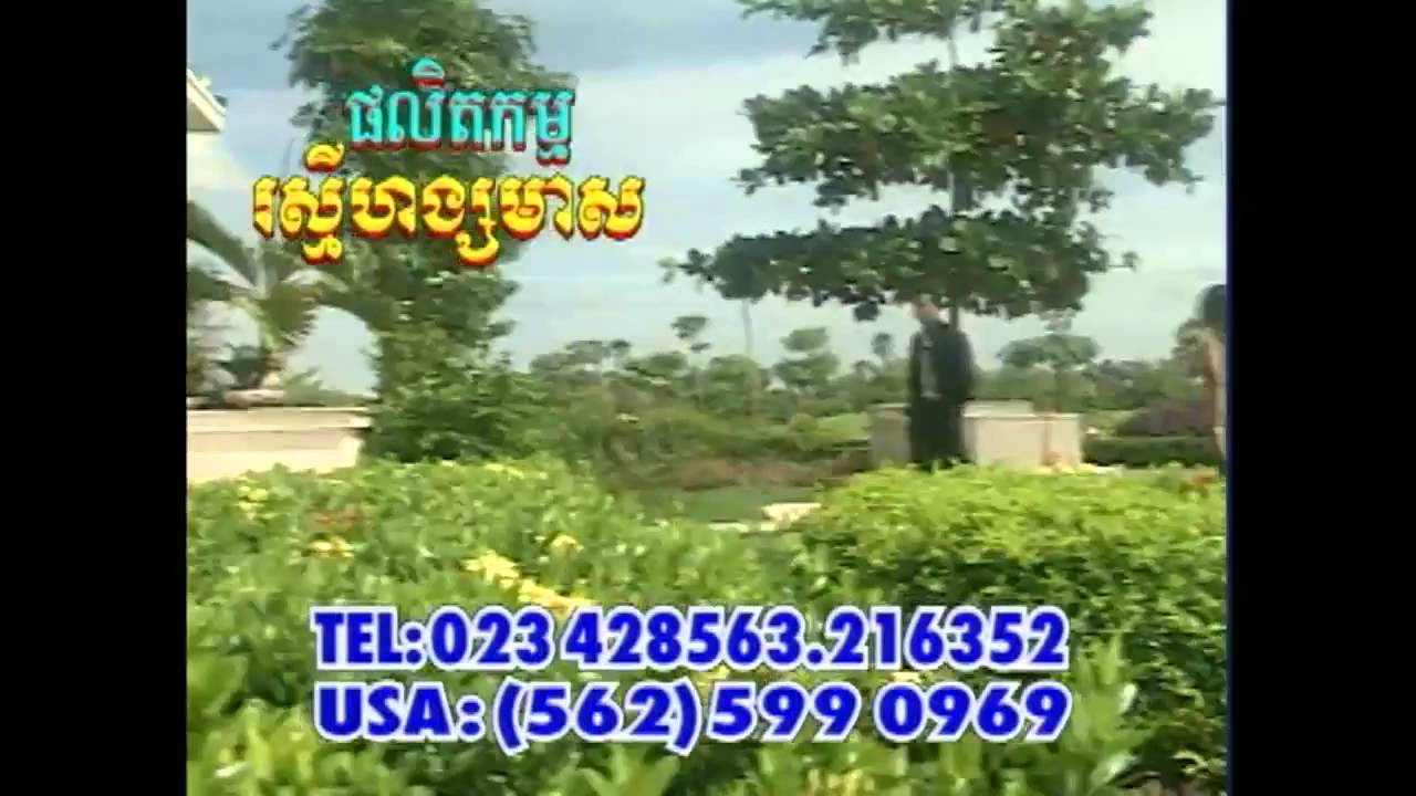 Vi Mean Ksaec Meas