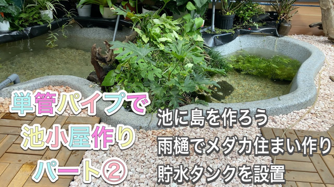【単管パイプで池小屋作り】②メダカビオトープ作り！