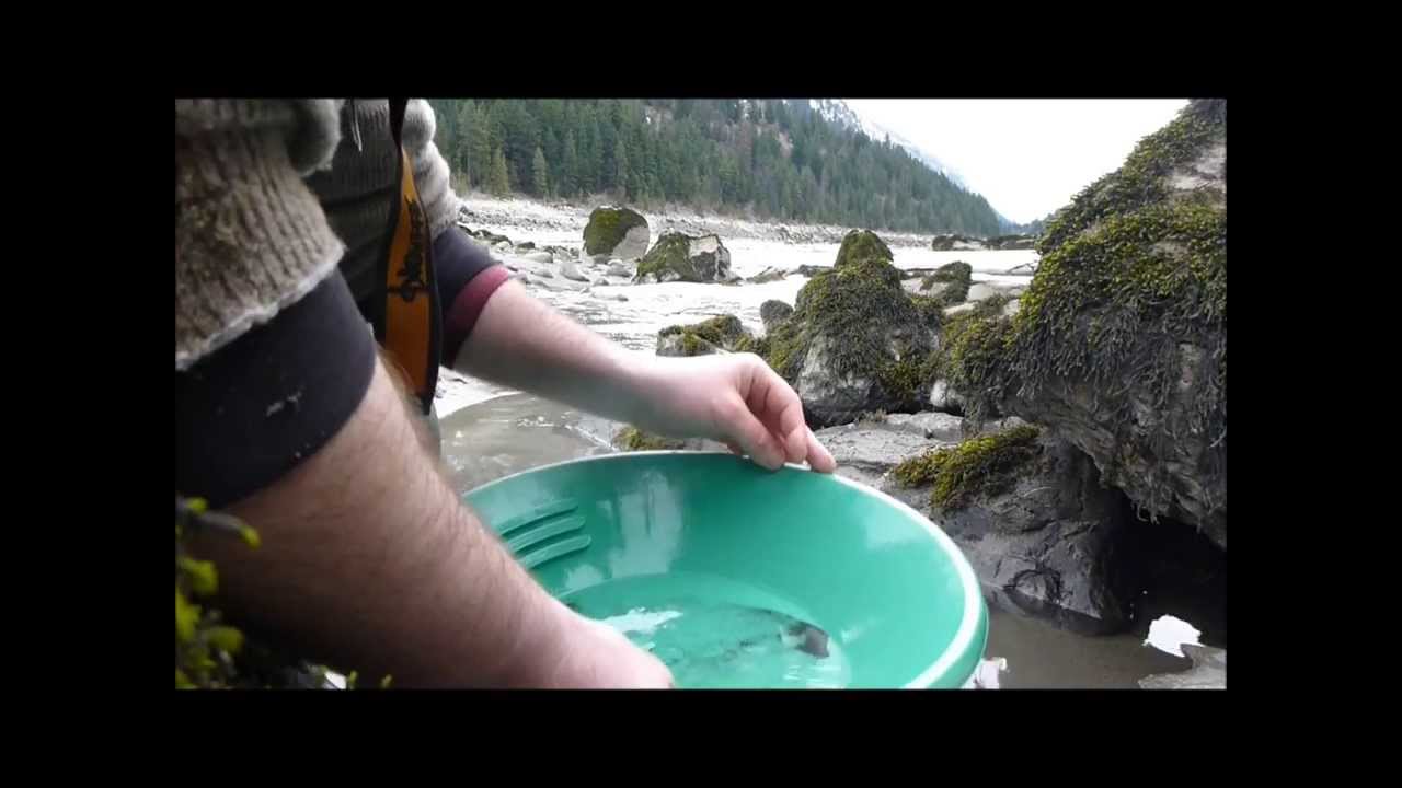 Fraser River Gold with Gold Hog Mats