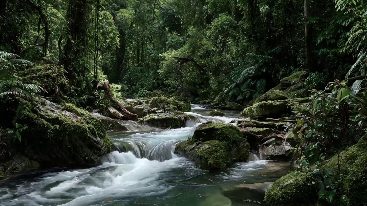 Smooth River Water Sounds for Sleep Supporting Long Calm Sessions