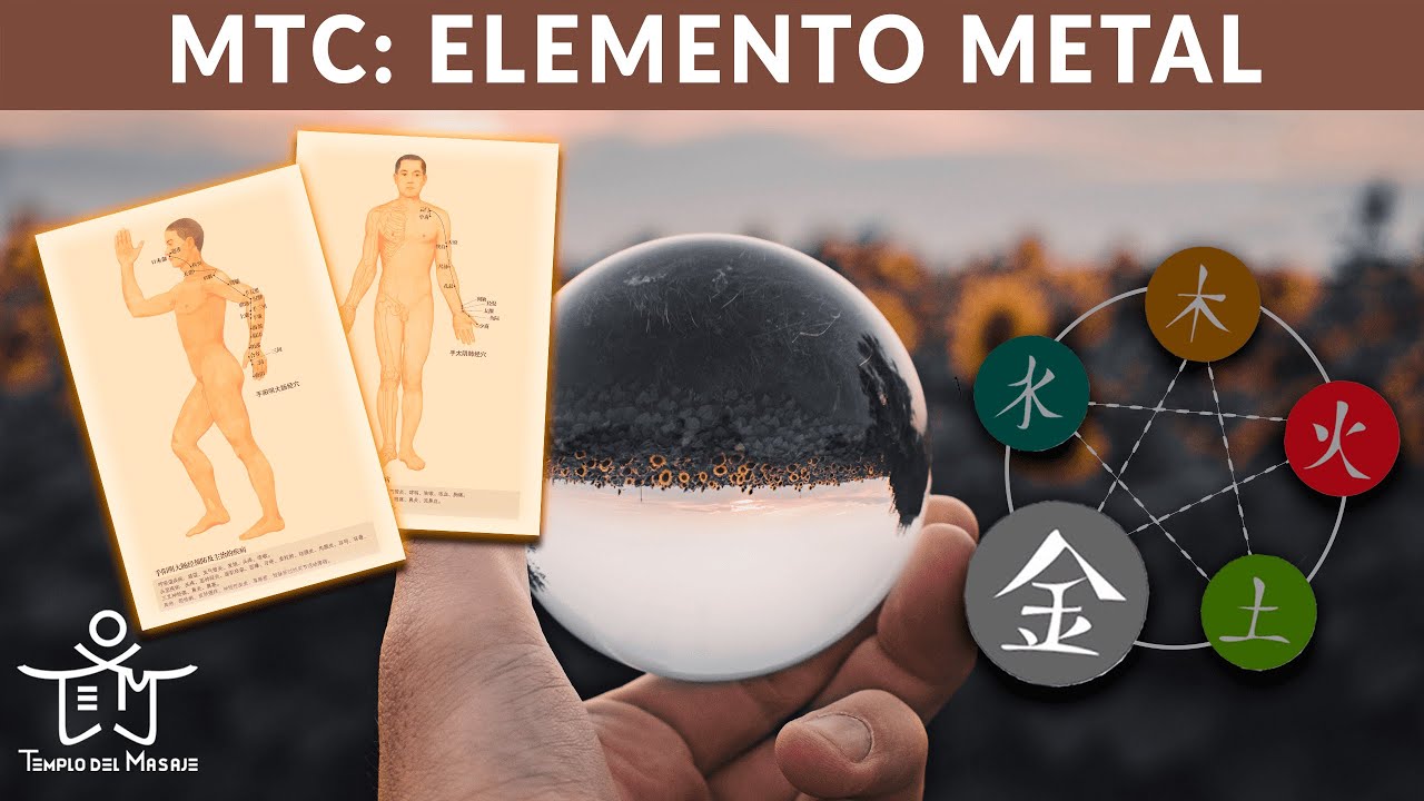 ELEMENTO METAL🔗Canal del INTESTINO GRUESO y Canal del PULMÓN con sus PUNTOS MÁS IMPORTANTES