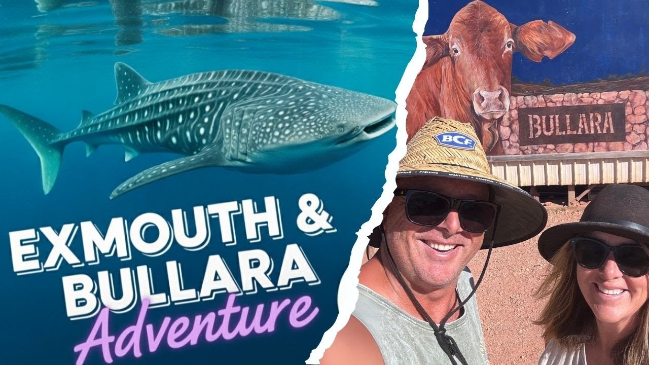 Exmouth | Whalesharks, Gorges, Lighthouses & Bullara Station Stay