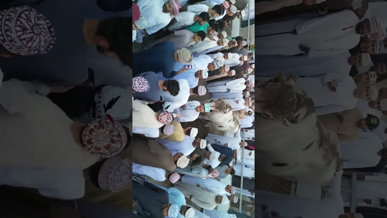 هيمان الجماهير(مدفع السويق)🔥🥰