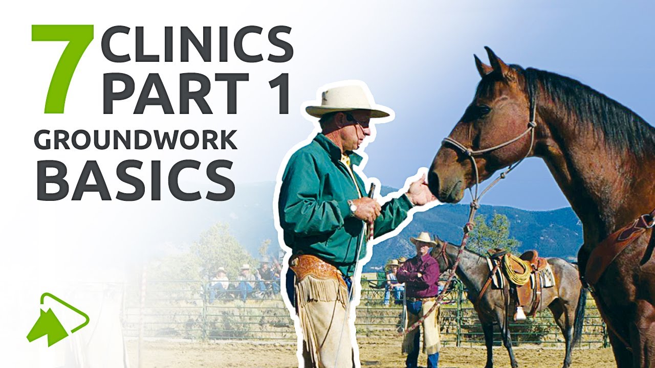 Groundwork for Beginners | 7 Clinics with Buck Brannaman | wehorse