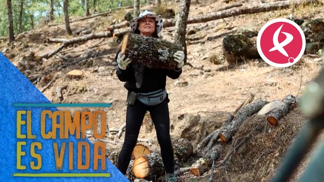 Rosane recoge más de 8.000 kilos de leña para el invierno | El campo es vida