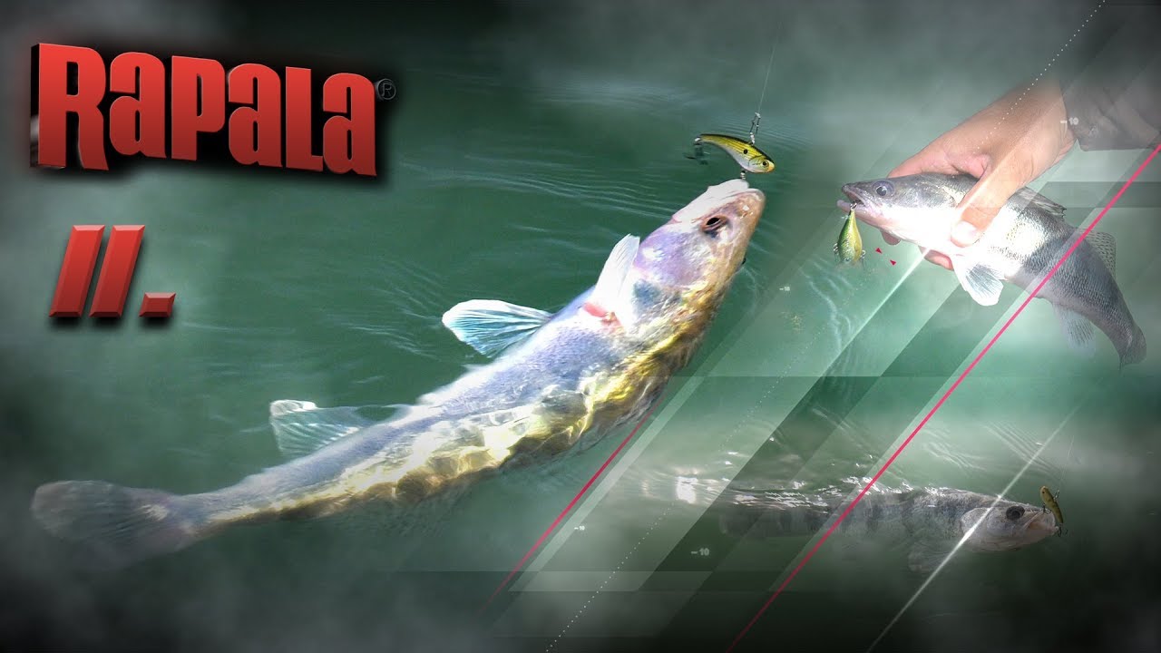 Rapala Tippek-Trükkök 2. rész - Slab Rap és Rippin' Rap vertikális wobblerek