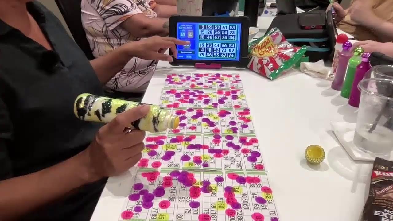 BINGO FUN