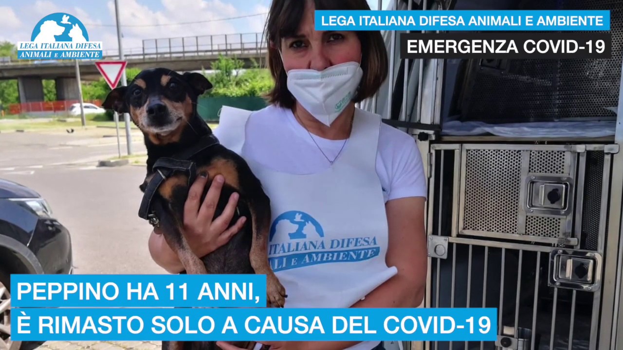 LEIDAA PER EMERGENZA COVID-19: SOSTIENI IL NOSTRO IMPEGNO SENZA SOSTA COL 5X1000